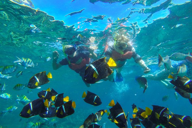 Marietas Islands: Kayak, Snorkel Cruise From Puerto Vallarta - Cancellation Policy