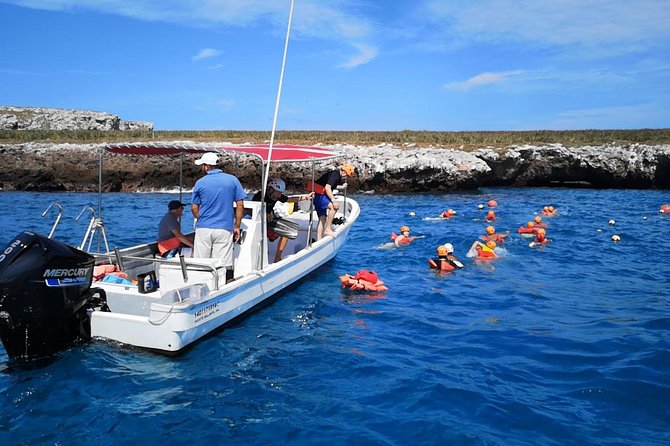 Marietas Islands Snorkel Tour & Hidden Beach - Highlights, Guides, and Customer Reviews