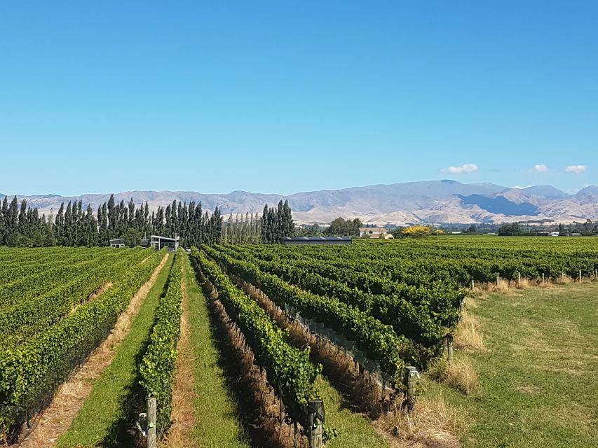 Marlborough Half Guided & Half Self-Guided Bike Wine Tour - Reservation Details