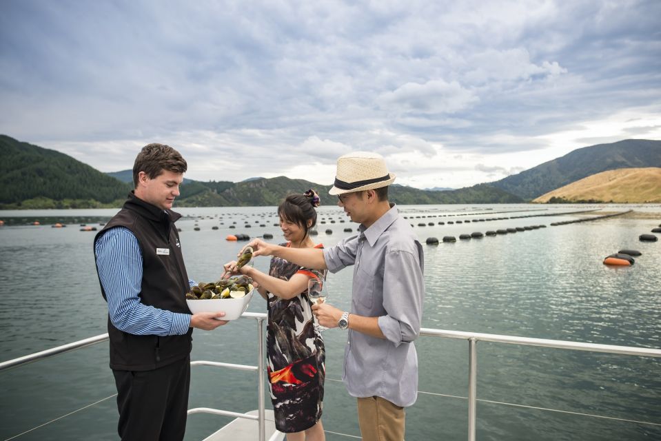 Marlborough Sounds: Greenshell Mussel Cruise - Customer Reviews