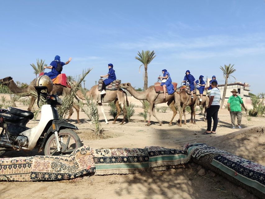 Marrakech: Camel Ride in the Palm Grove - Review Summary