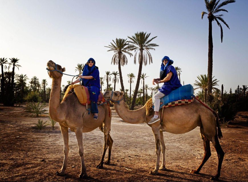 Marrakech: Camel Ride in the Palmeraie - Safety Measures