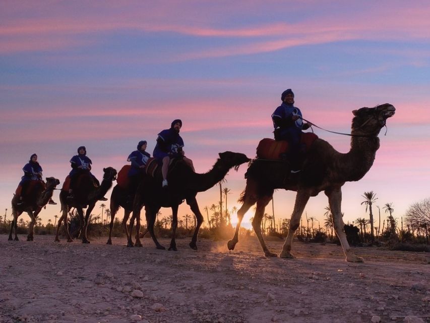 Marrakech Palmeraie: Sunset Camel Ride - Product Details