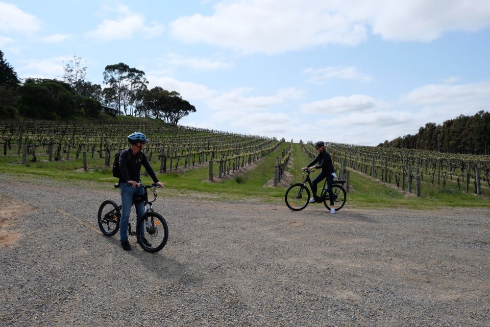 McLaren Vale: E-Bike Rental to Explore the Vineyards - Common questions