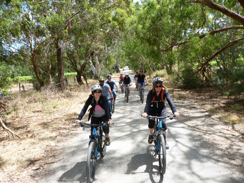 Mclaren Vale Hills Vines and Wines Bike Tour From Adelaide - Customer Reviews