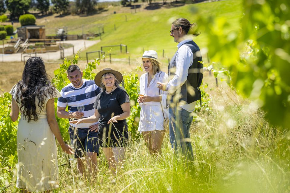 McLaren Vale: Private Gemtree Wines Biodynamic Winery Tour - Tour Duration and Language