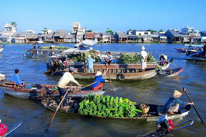 Mekong Delta Private Full-Day Tour  - Ho Chi Minh City - Additional Details