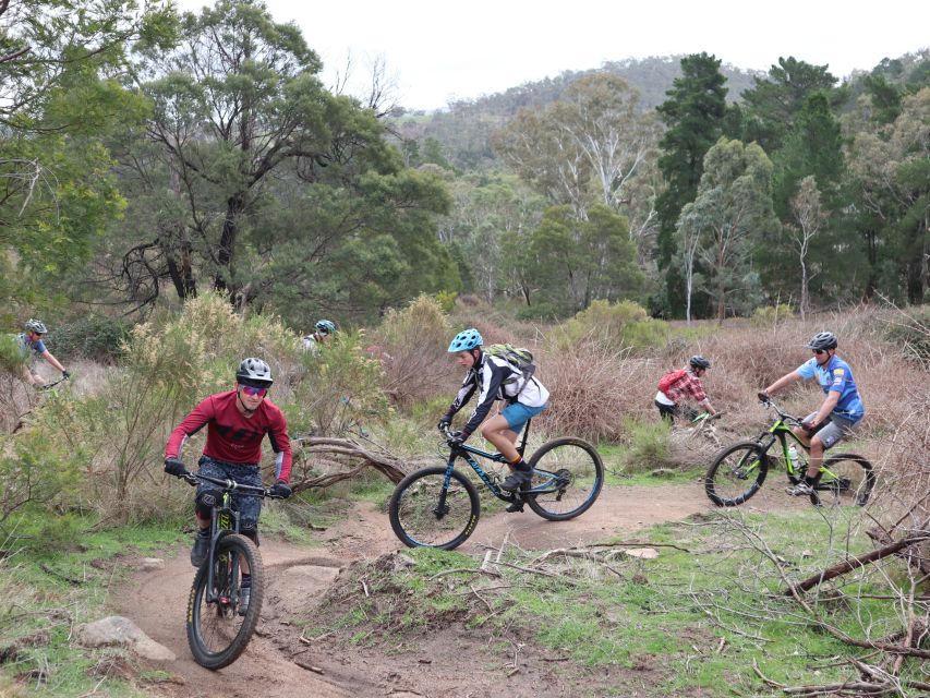 Melbourne: 1-Day Mountain Biking Adventure With Lunch - Trail Challenges in Wombat State Forest