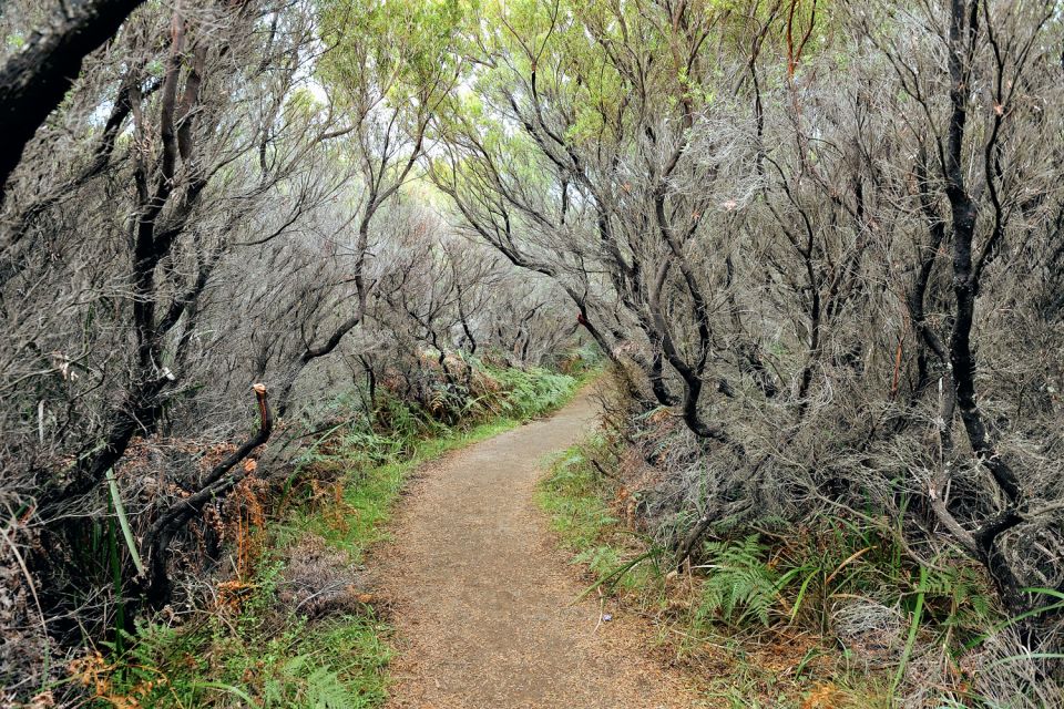 Melbourne: 12 Apostles, Great Otways and Great Ocean Road - Meeting Point