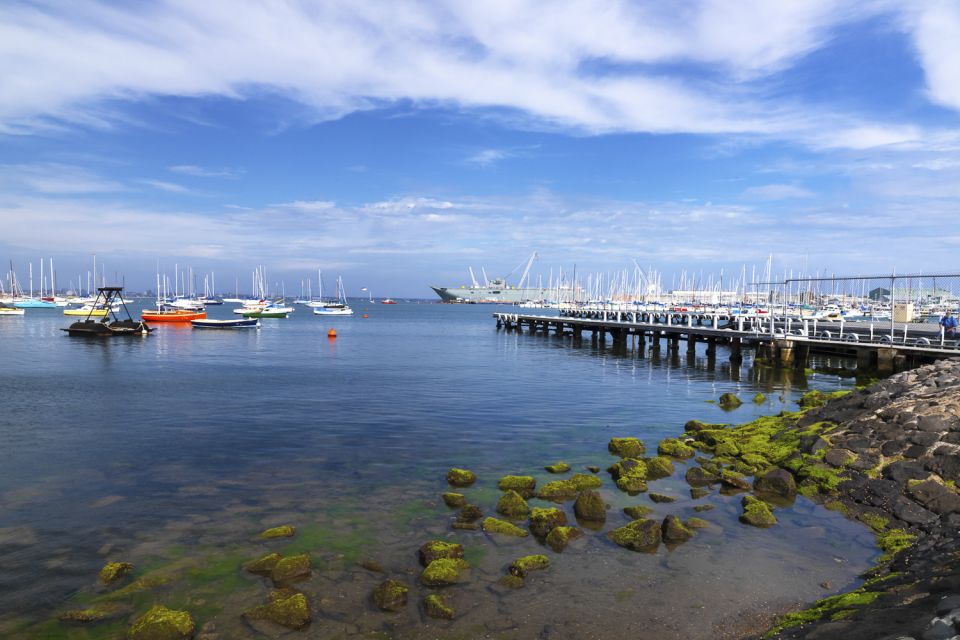 Melbourne: City and Williamstown Ferry Cruise - Customer Reviews