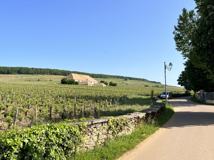 Meursault - Vineyard and Wine Experience - 3h - Practical Information