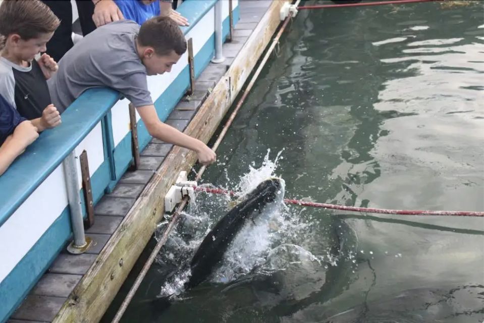 Miami: Giant Fish Feeding Experience - Payment Options