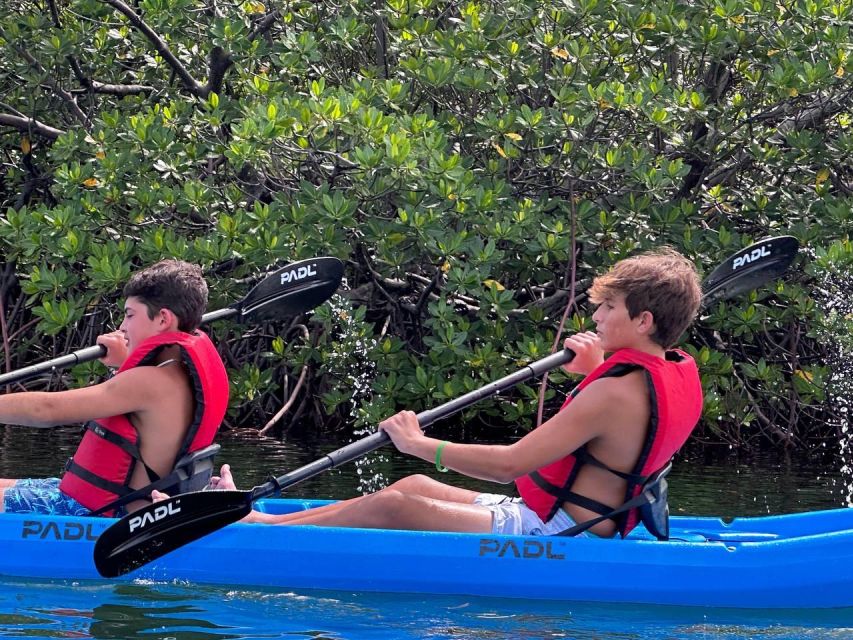 Miami: Paddle Board or Kayak Rental in Virginia Key - Reservation and Payment Options