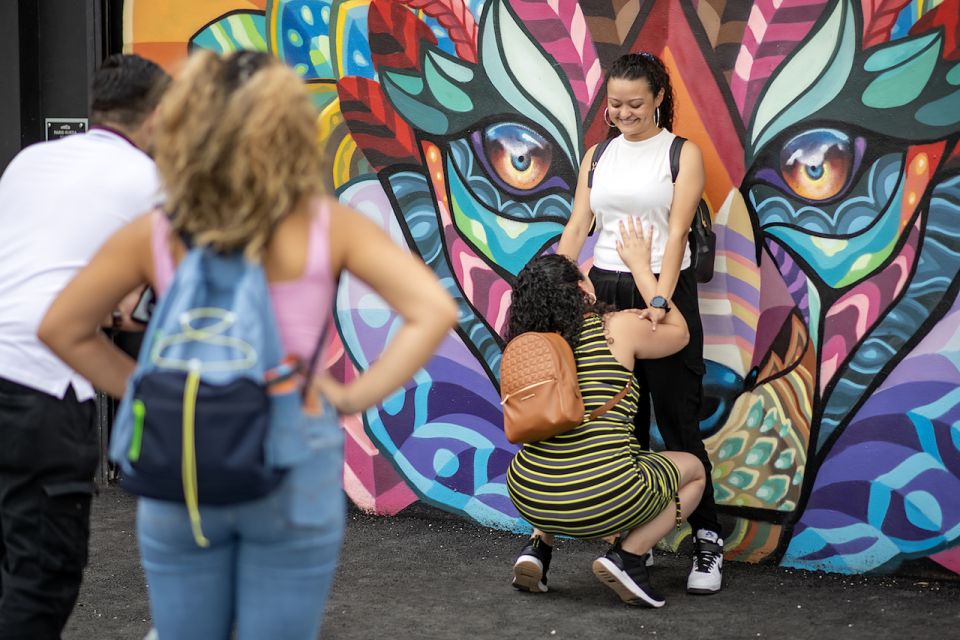 Miami: Wynwood Walls Skip-the-Line Entry Ticket - Customer Reviews