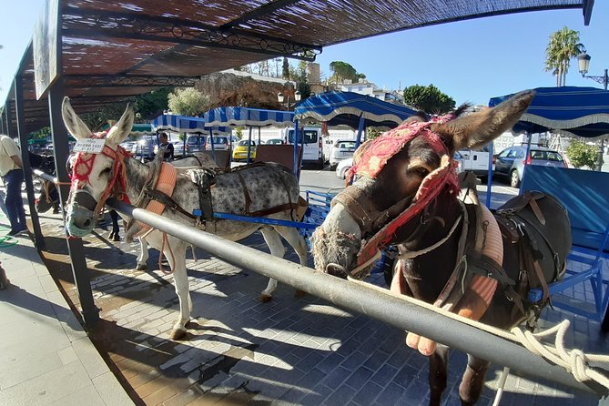 Mijas Private Walking Tour - Group Size Options