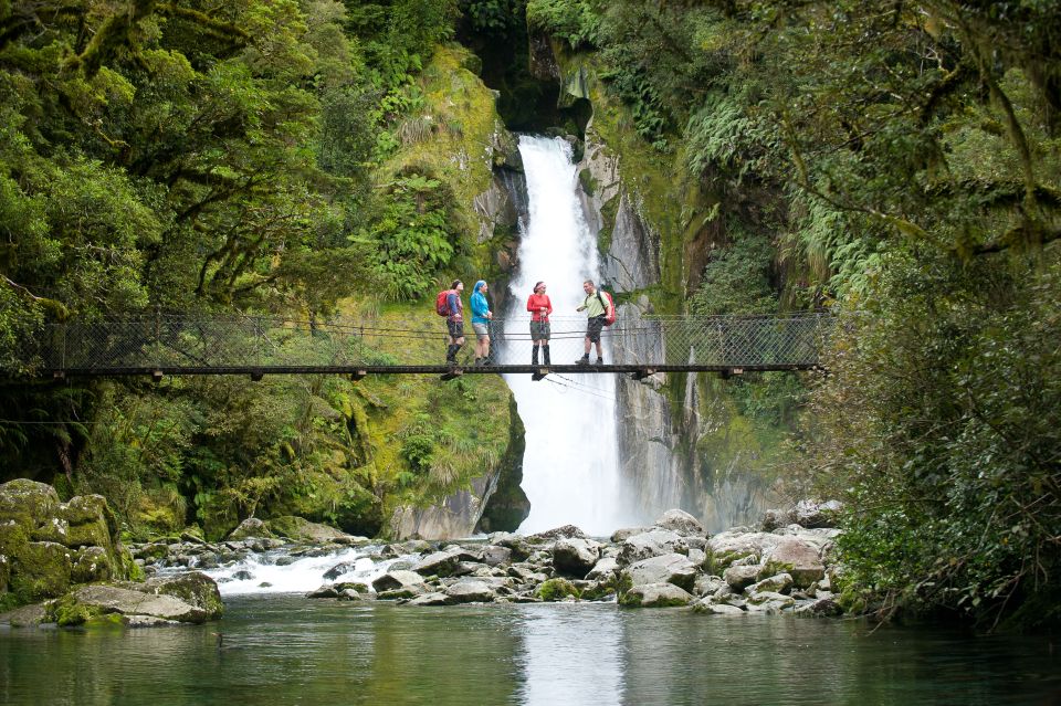 Milford Sound: Half-Day Guided Milford Track Walk - Participant Information