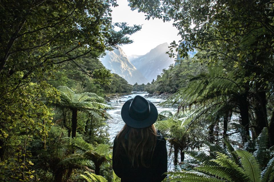 Milford Sound: Milford Track Day Hike - Last Words