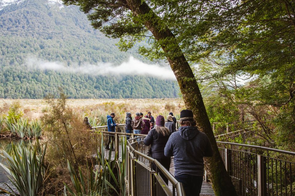 Milford Sound: Premium Small Group Tour From Queenstown - Review Summary