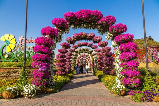 Miracle Garden Dubai - Common questions