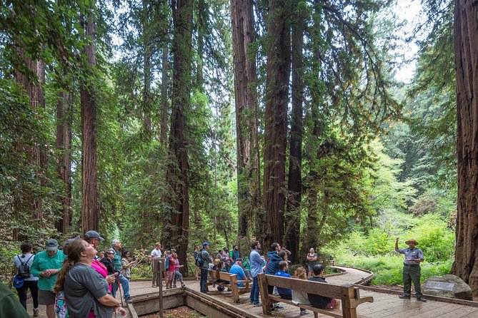 Mix & Save: Muir Woods and Sausalito Escape From the Rock Cruise - Cancellation Policy