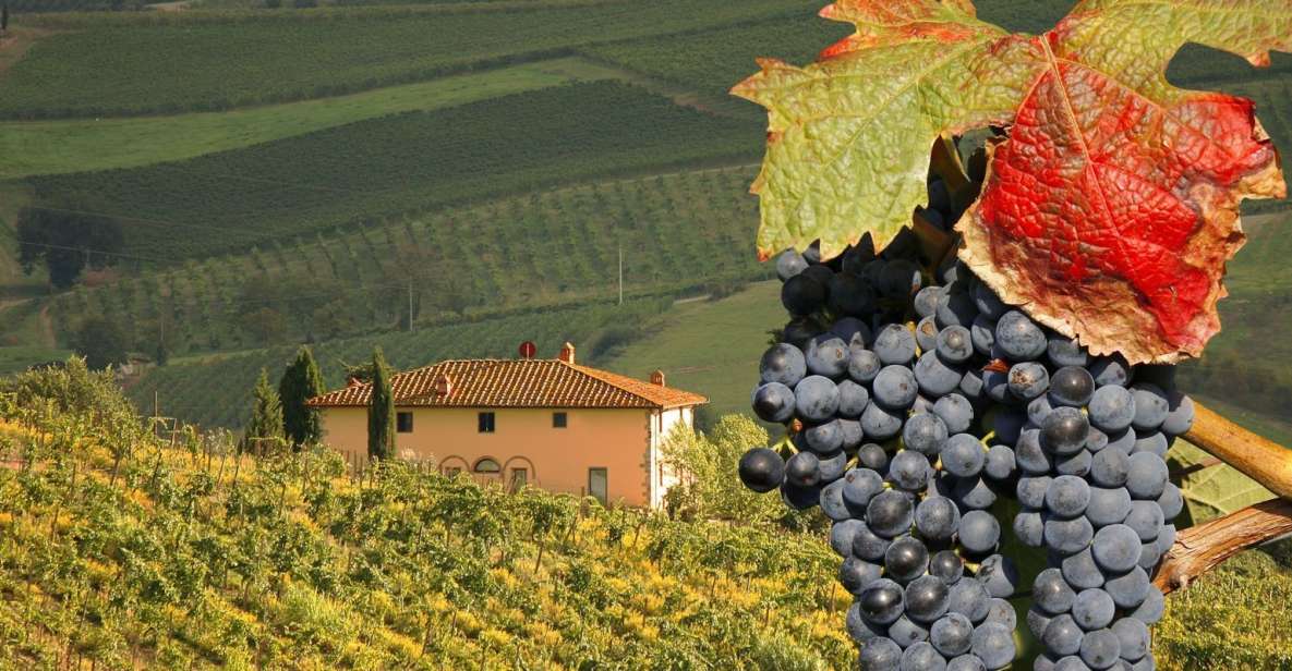 Montalcino Truffle and Wine Tasting Day Tour From Rome - Tour Itinerary