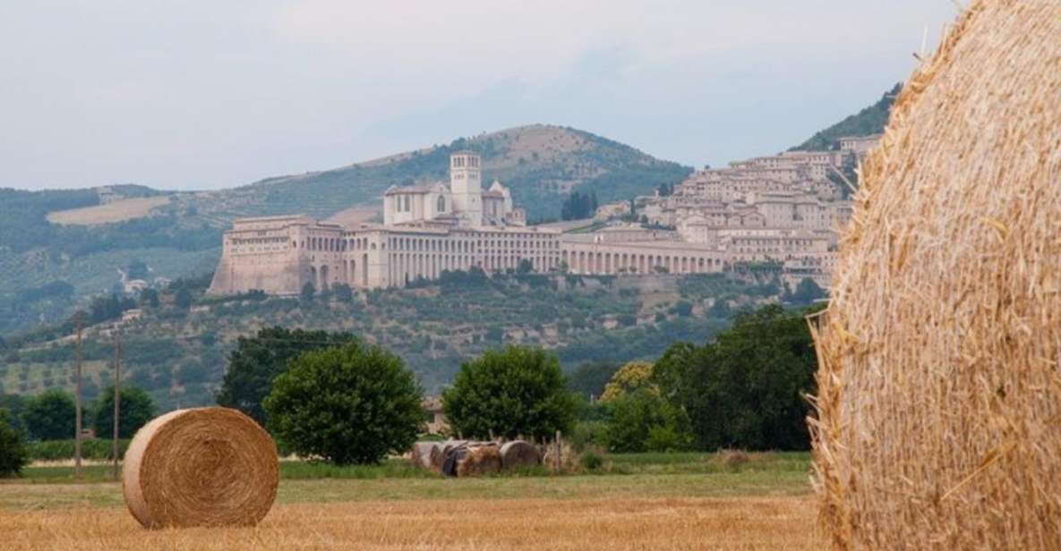 Montepulciano Wine Tasting and Assisi Private Day Tour - Inclusions