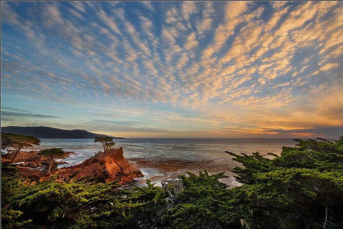 Monterey Bay Full-Day Kayak Rental: Otters, Seals and Sea Lions - Last Words