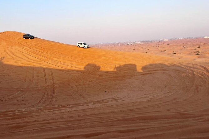 Morning Abu Dhabi Desert Dune Bashing and Camel Ride - Review Authenticity Checks