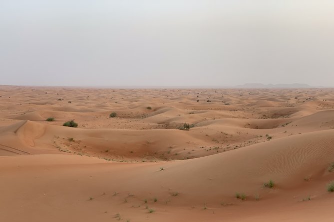 Morning Desert Safari With Camel Ride and Quad Bike Riding - Safety Guidelines