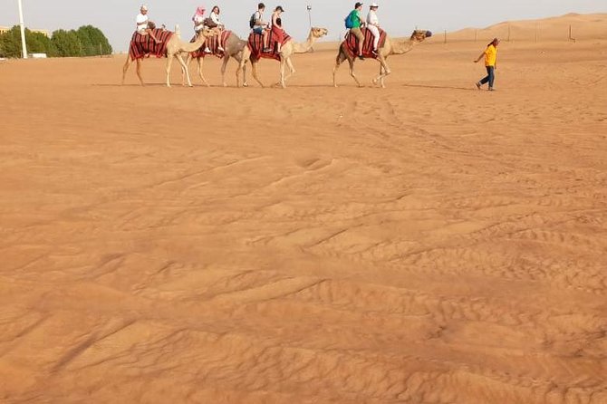 Morning Desert Safari With Sand Boarding and Dune Bashing - Last Words