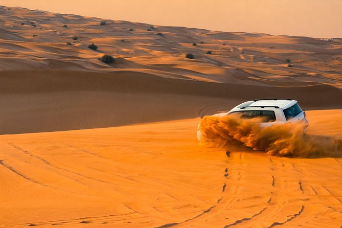 Morning Desert Safari With Sand Boarding & Camel Ridetour - Cancellation and Refund Terms