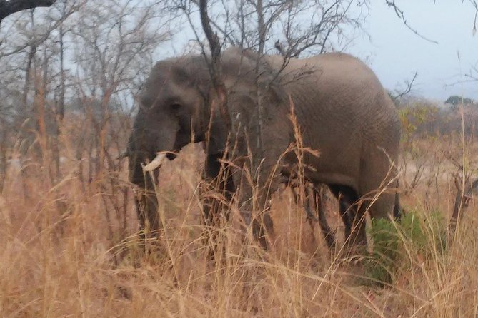 Morning Kruger National Park Safari - Departure Information