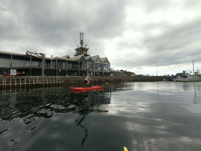 Mornington: Port Phillip Bay Water Bike Tour - Exclusions