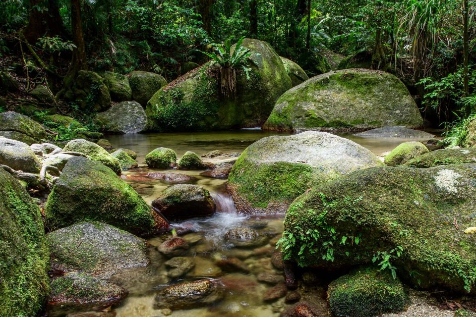 Mossman Gorge, Daintree Rainforest Aboriginal Beach Day - Inclusions