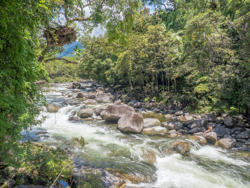 Mossman Gorge: Day Tour With River Drift Experience - Customer Reviews