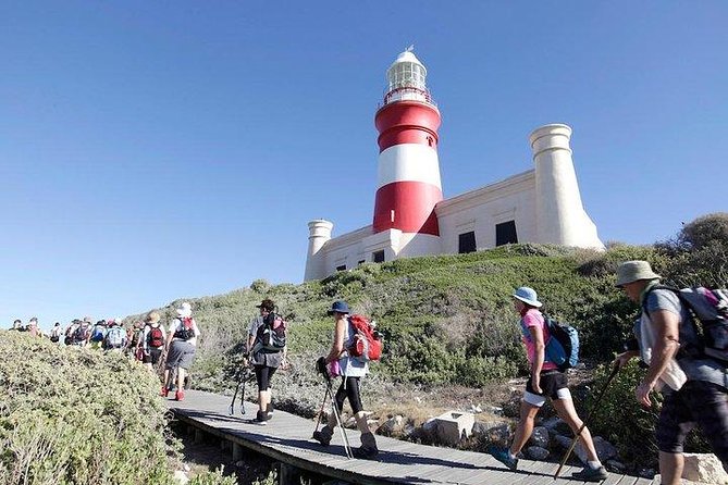 Mother City, Cape Town, Private Tour, The Best Of Cape Agulhas - Booking Information