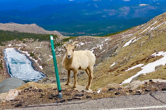 Mount Blue Sky & Red Rocks Tour From Denver - Safety and Health Considerations