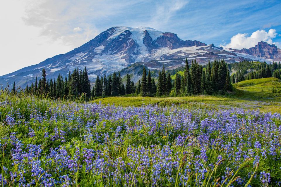 Mount Rainier National Park: Audio Tour Guide - Inclusions