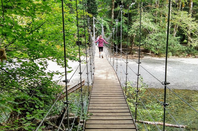 Mount Rainier National Park - Private Luxury Day Tour With Lunch - Lunch Inclusions