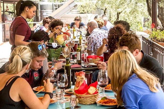 Mount Vesuvio Organic Wine Tasting & Lunch With Transfer From Naples - Inclusions and Exclusions of Services