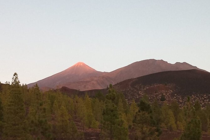 Mt Teide Volcano Night Guided Tour From Southern Tenerife - Additional Information and Copyright