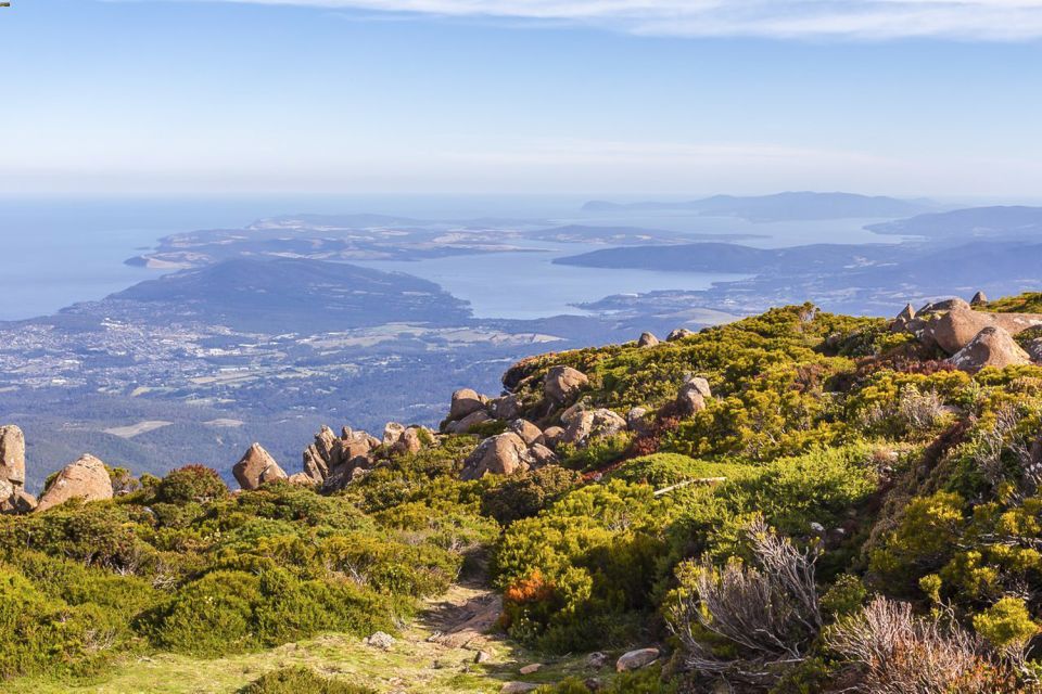 Mt Wellington: Ultimate Experience From Hobart - Customer Reviews