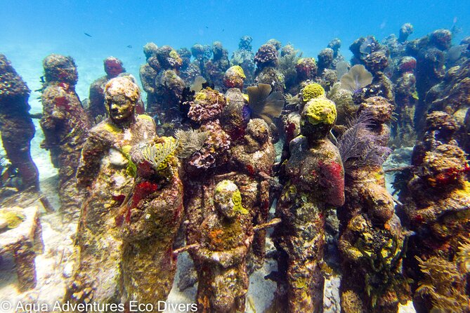 MUSA Museum and Colorful Reef 2 Tank Dive-Certified Divers - Booking and Cancellation Policies