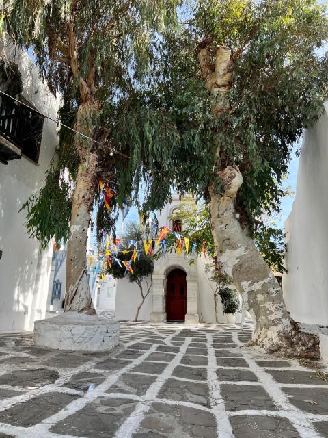 Mykonos Highlights Private Tour From Airport or Cruise Port - Important Information