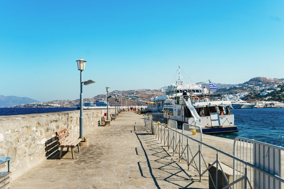 Mykonos Town: Archaeological Site of Delos Guided Day Trip - Customer Reviews