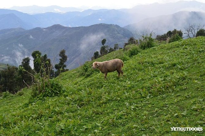 Naag Tibba Trekking and Hiking 2 Nights and 3 Days - Safety Guidelines and Tips