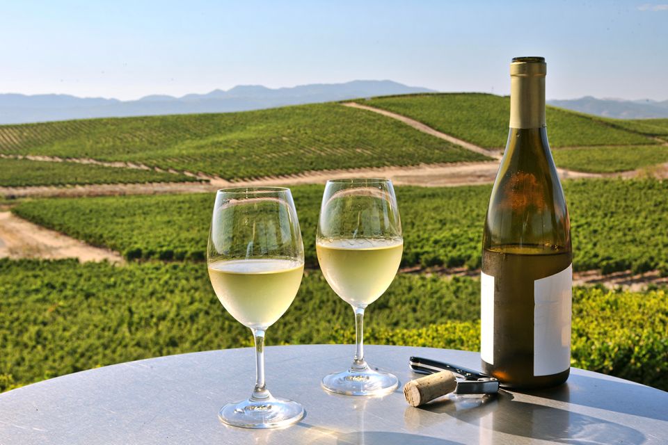 Nafplion: Nemea Vineyards Wine Tour - Booking Information