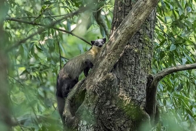 Nagarjun Hill Hike - Hiking Near Kathmandu - Common questions