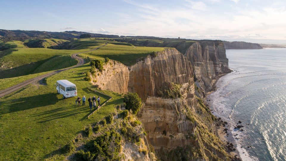 Napier: Cape Kidnappers Gannet, Nature & Sightseeing Tour - Important Information