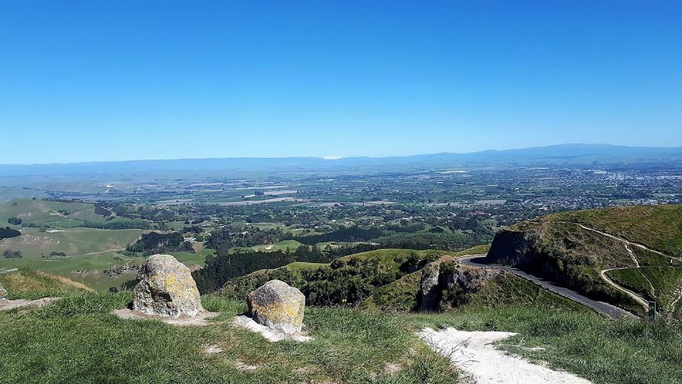 Napier: Private Sightseeing Tour Wine Tasting - Full Description